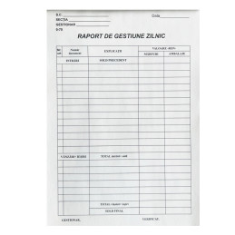 Raport de Gestiune Zilnic