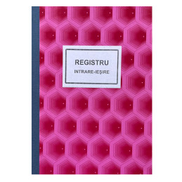 Registru intrari-iesiri 200...